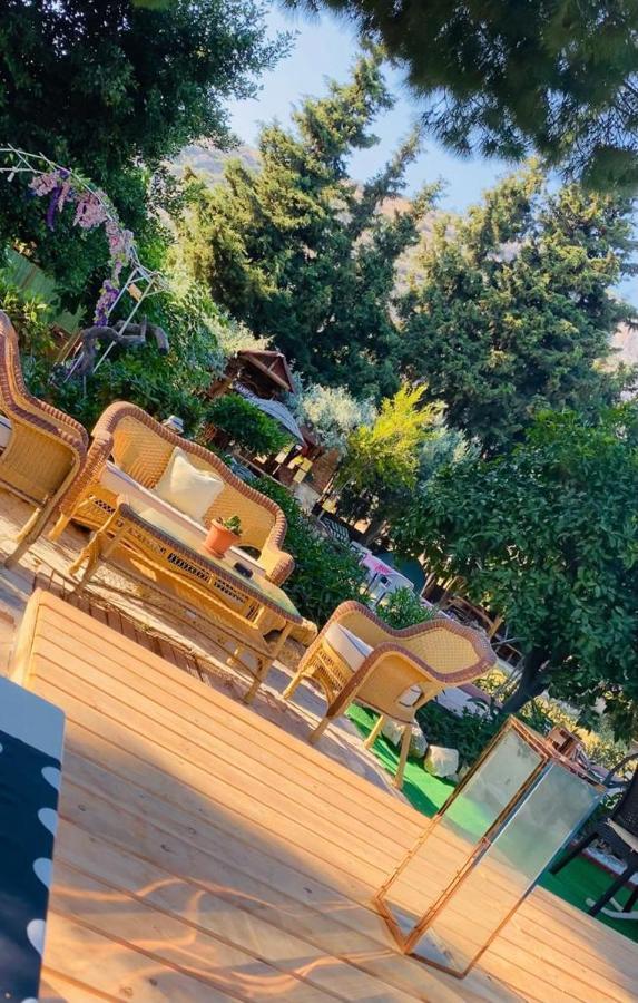 Mursel Garden * Kuşadası