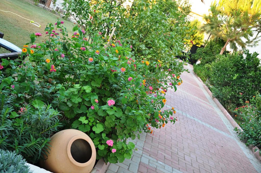 Pansiyon Mursel Garden *