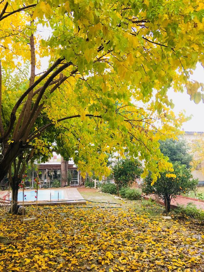 Mursel Garden Pansiyon *